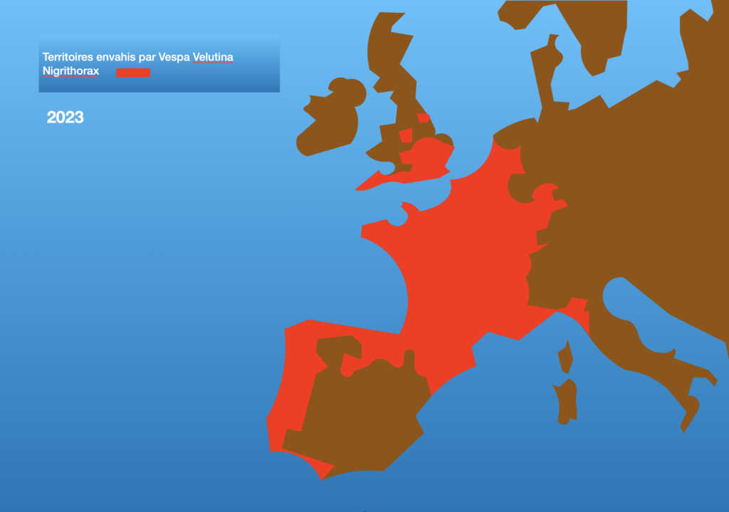 Carte de la progression du frelon asiatique en Europe